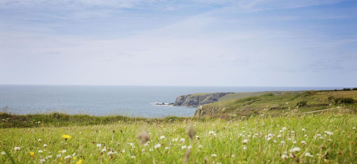 errori più comuni in primavera