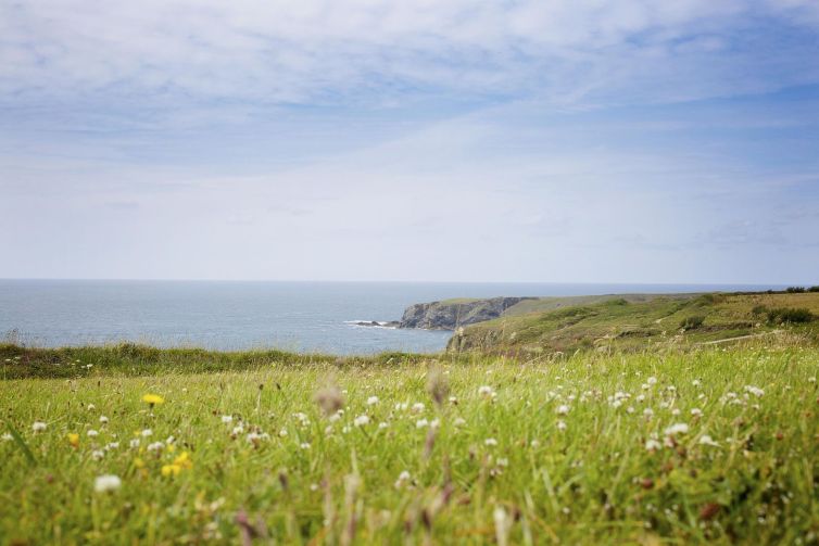 errori più comuni in primavera