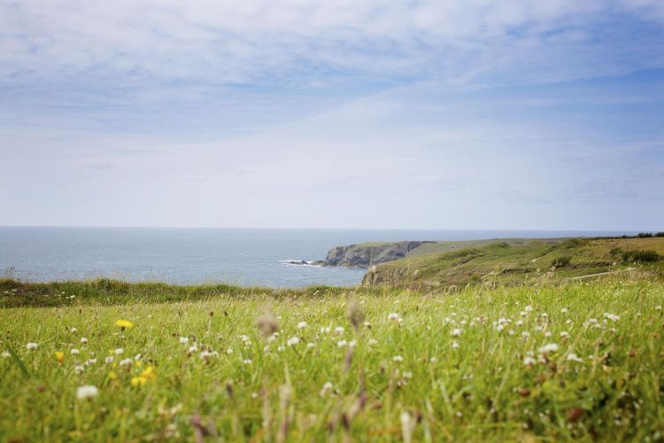 errori più comuni in primavera