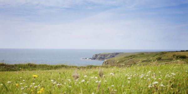 errori più comuni in primavera