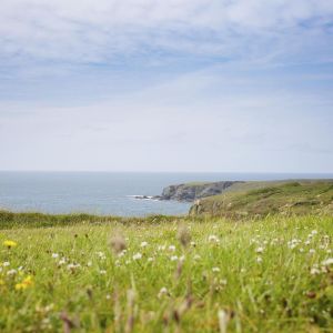 errori più comuni in primavera