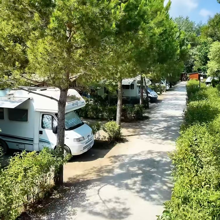 Camping Boscoverde a Torre del Lago Puccini (Versilia)